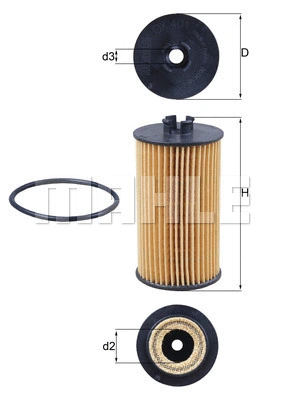 Oil Filter (WG1217400)