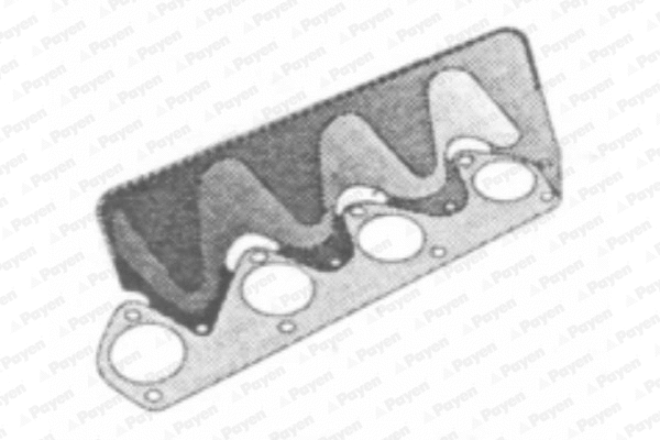 Gasket, exhaust manifold (WG1090681)