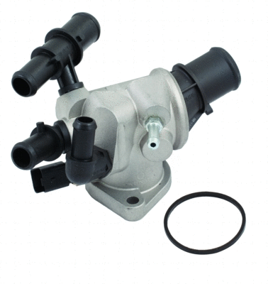 Thermostat, coolant (WG1409336)