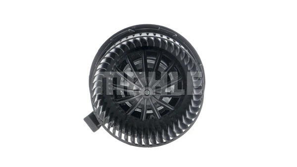 Interior Blower