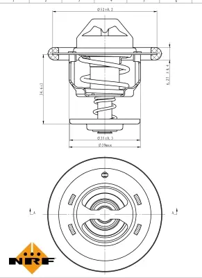 Thermostat, coolant (WG2184806)