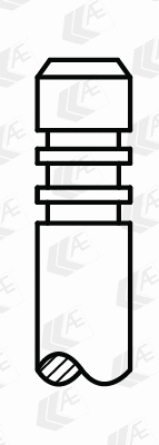 Exhaust Valve (WG2202608)