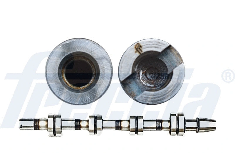 Camshaft (WG1155393)