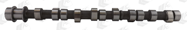 Camshaft (WG1171946)
