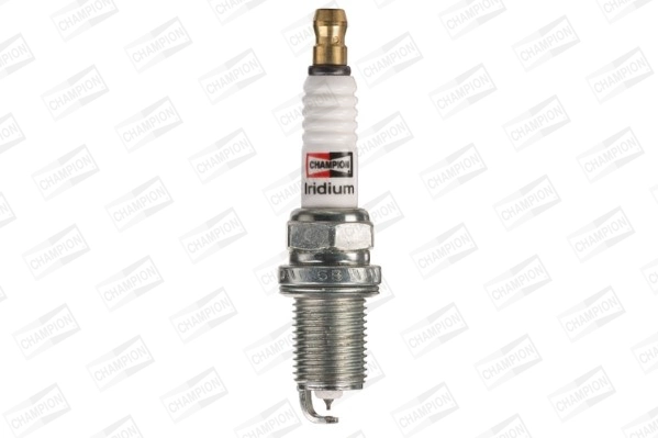 Spark Plug (WG2009648)
