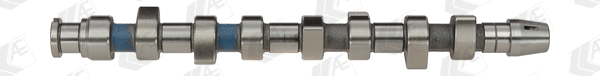 Camshaft (WG1171909)