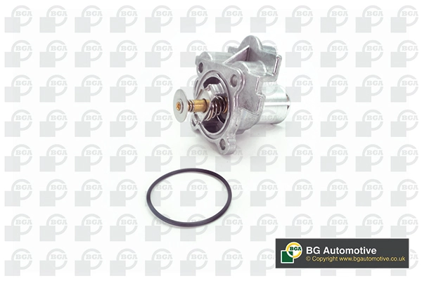 Thermostat, coolant (WG1991897)