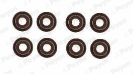 Seal Set, valve stem (WG2046473)