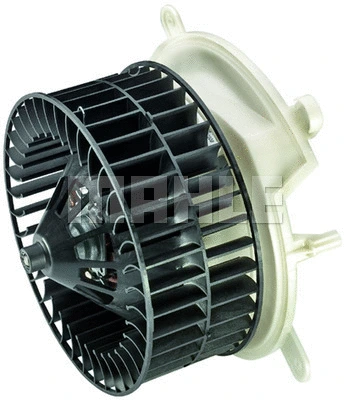 Interior Blower