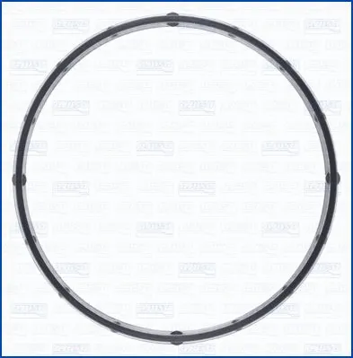 Gasket, oil cooler (WG2079149)