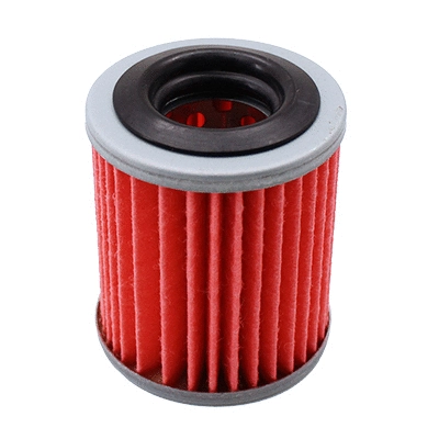 Hydraulic Filter, automatic transmission (WG2136411)