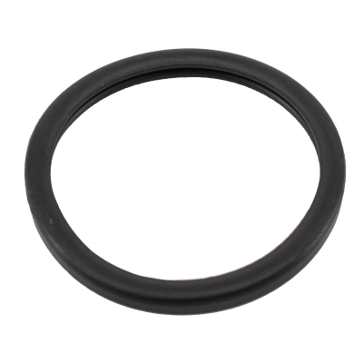 Seal, thermostat (WG2196040)