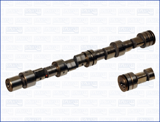 Camshaft (WG1170837)