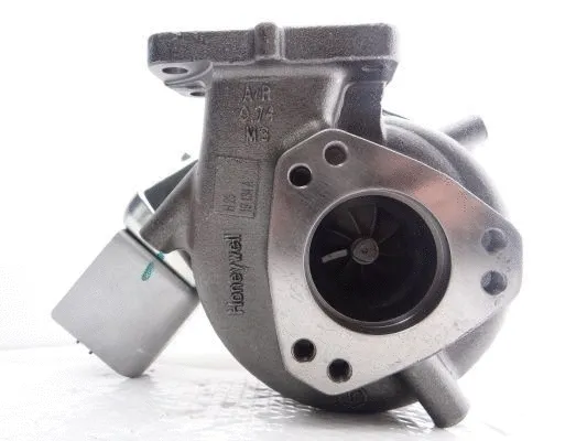 Charger, charging (supercharged/turbocharged) (WG2140052)