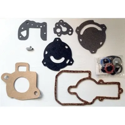 Repair Kit, carburettor (WG1965767)