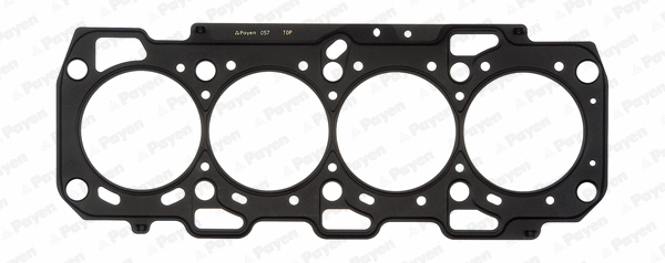 Gasket, cylinder head (WG1177579)
