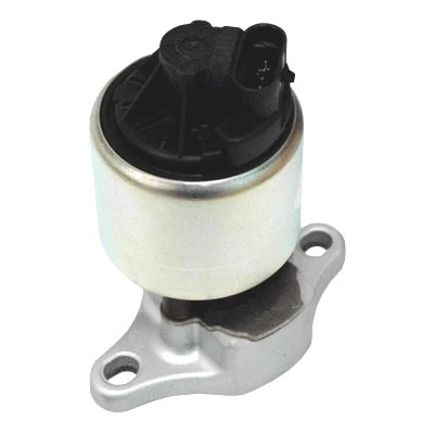 EGR Valve (WG1015279)