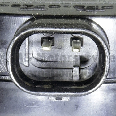 Water Recirculation Pump, parking heater (WG2197562)