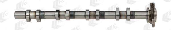 Camshaft (WG1171979)