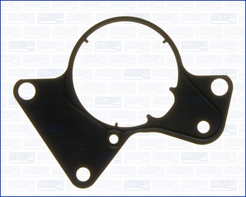 Gasket, fuel pump (WG1448067)