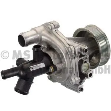Water Pump, engine cooling (WG1806737)