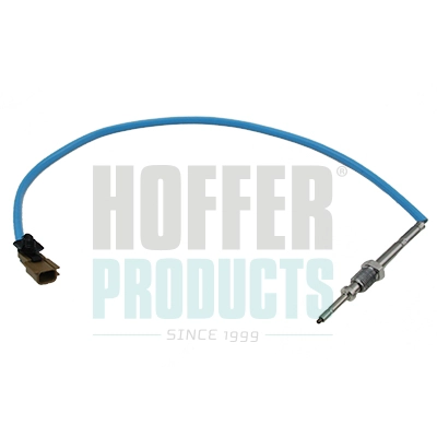 Sensor, exhaust gas temperature (WG2262911)