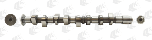 Camshaft (WG1093071)