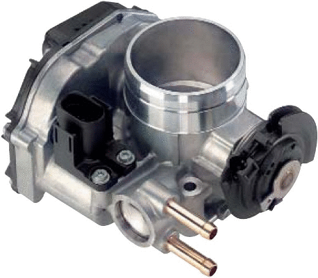 Throttle Body (WG1013501)