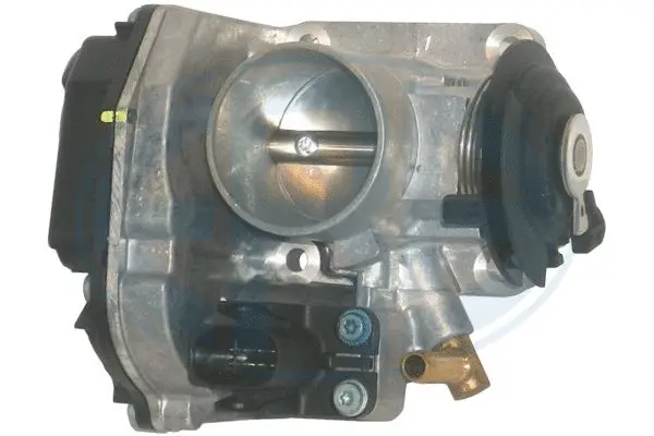 Throttle Body (WG1494950)