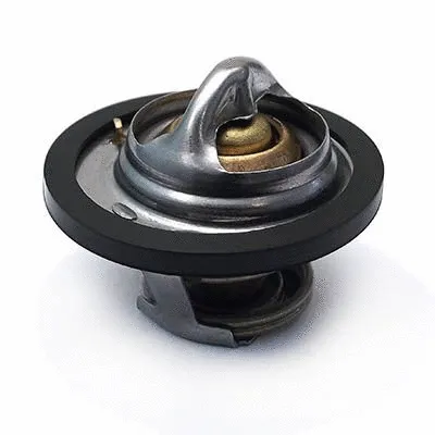 Thermostat, coolant (WG1409236)