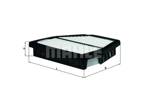 Air Filter (WG1216364)