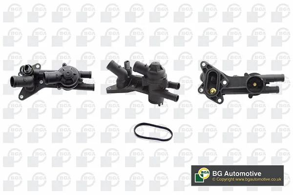 Thermostat, coolant (WG2104260)