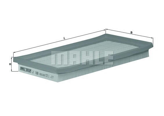 Air Filter (WG1216110)