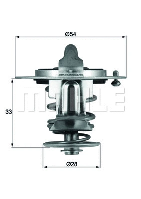 Thermostat, coolant (WG1217989)