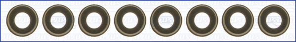 Seal Set, valve stem (WG1169682)