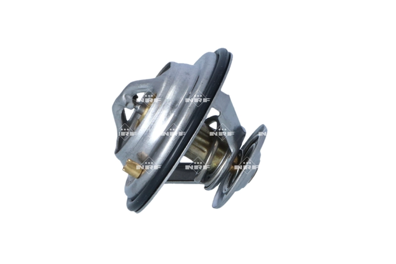 Thermostat, coolant (WG2261197)