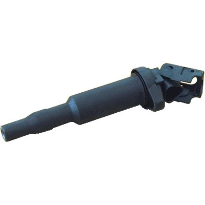 Ignition Coil (WG1892957)
