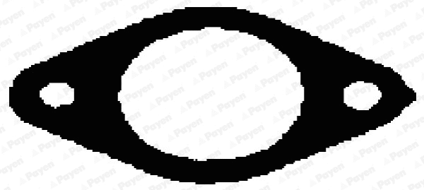 Gasket, exhaust manifold (WG1177026)