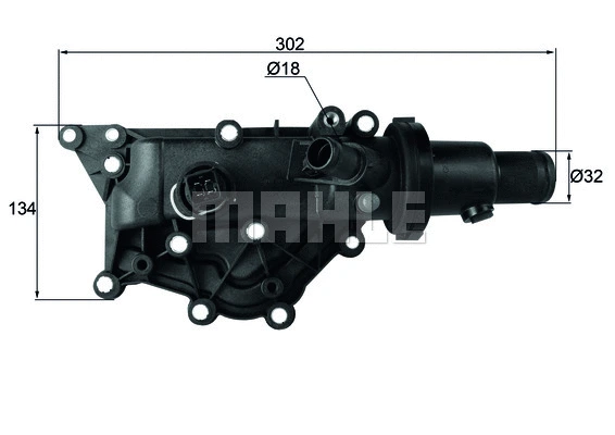 Thermostat, coolant (WG1789635)