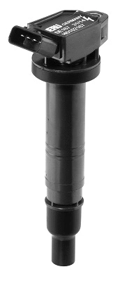 Ignition Coil (WG1487628)