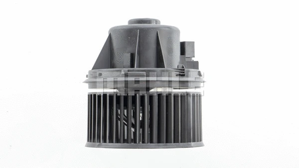 Interior Blower (WG2179887)