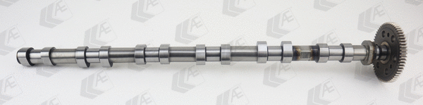 Camshaft (WG2176681)