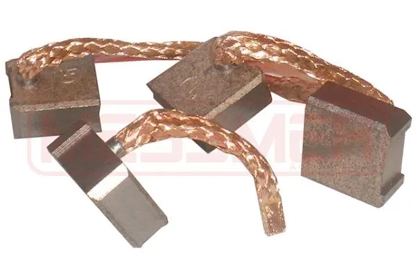 Carbon Brush, starter (WG2013621)