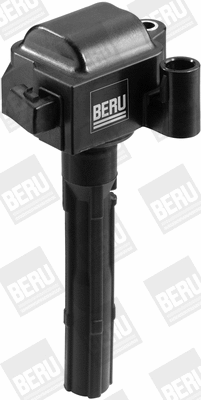 Ignition Coil (WG1487464)