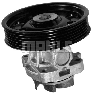 Water Pump, engine cooling (WG2182094)