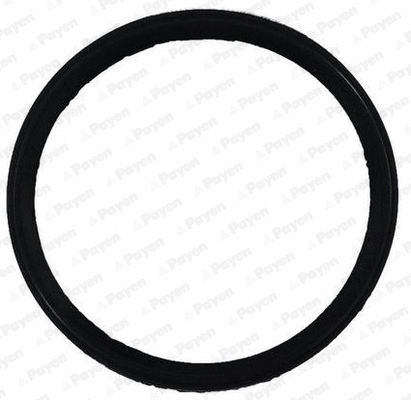 Gasket, intake manifold (WG2171441)