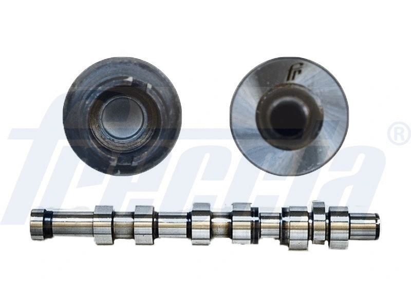Camshaft (WG1779094)