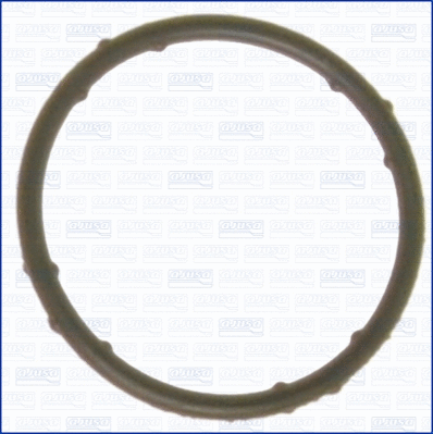 Gasket, coolant flange (WG1751295)