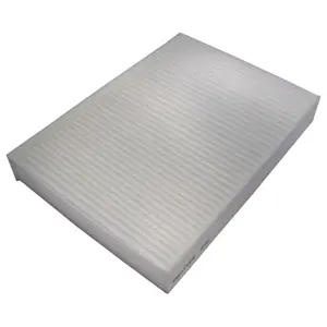 Filter, cabin air (WG1774755)
