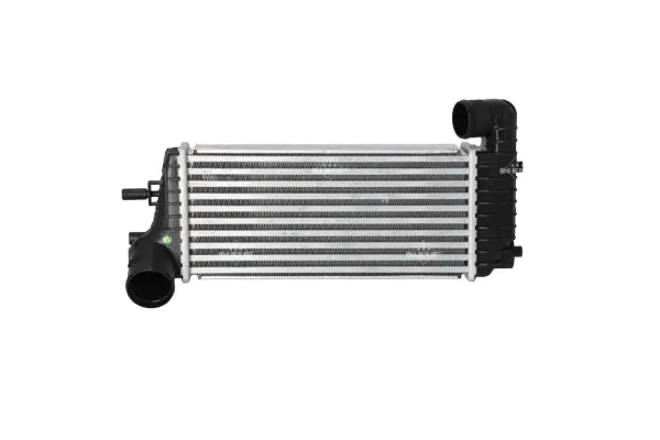 Charge Air Cooler (WG1724151)